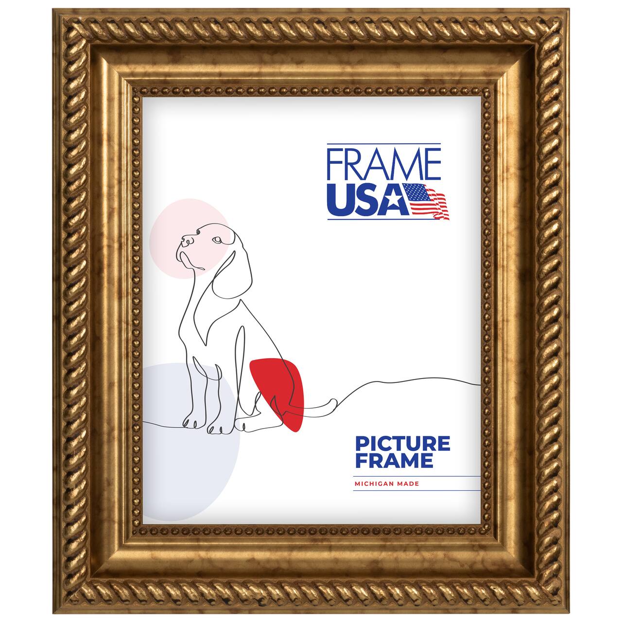 Frame USA Napolean Gold Single Image Picture Frame